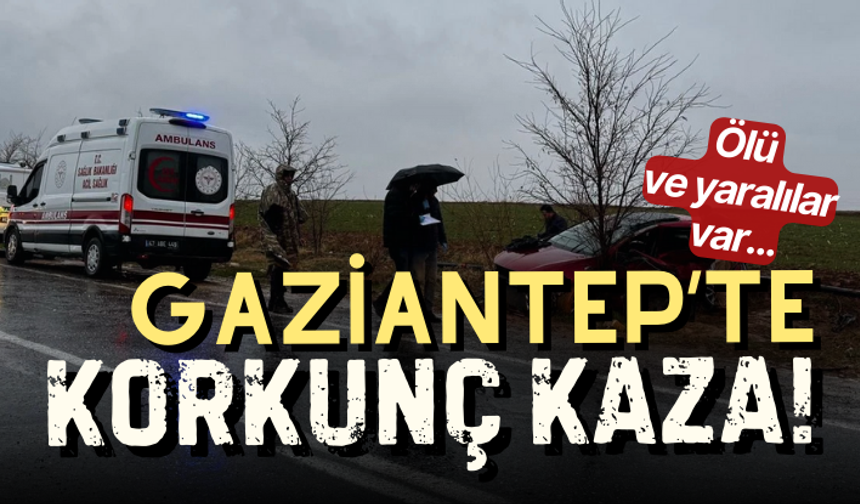 Mardin'de feci kaza: Ölü ve yaralılar var...