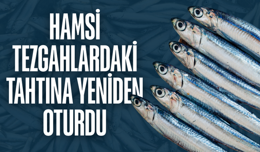 Hamsi tezgahlardaki tahtına yeniden oturdu