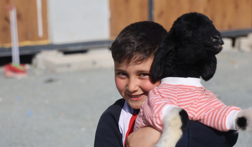 Annesi doğumda telef olan 'Boncuk' kuzu, elbisesi ve biberonuyla ilgi odağı oldu