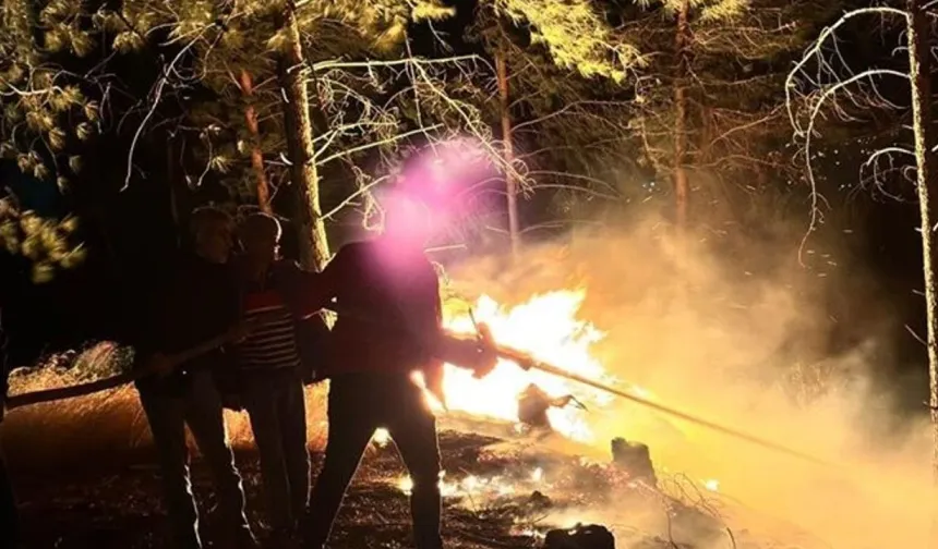 Hatay'da çıkan orman yangını kontrol altına alındı