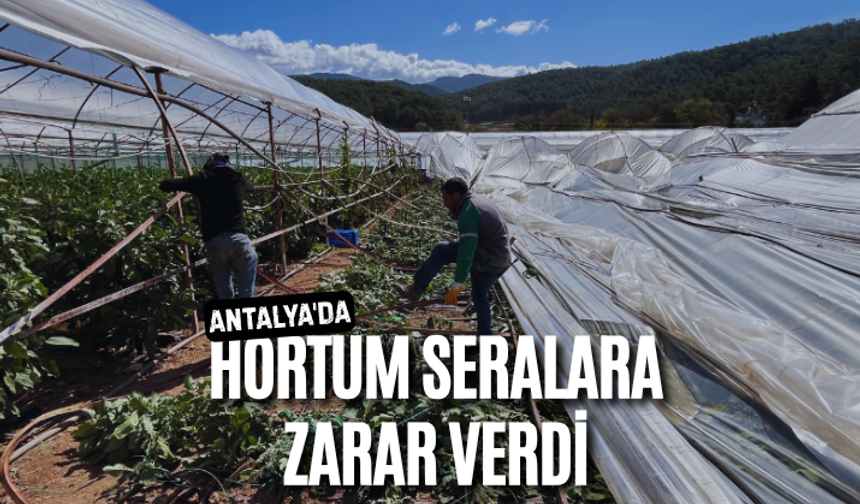 Antalya'da hortum seralara zarar verdi
