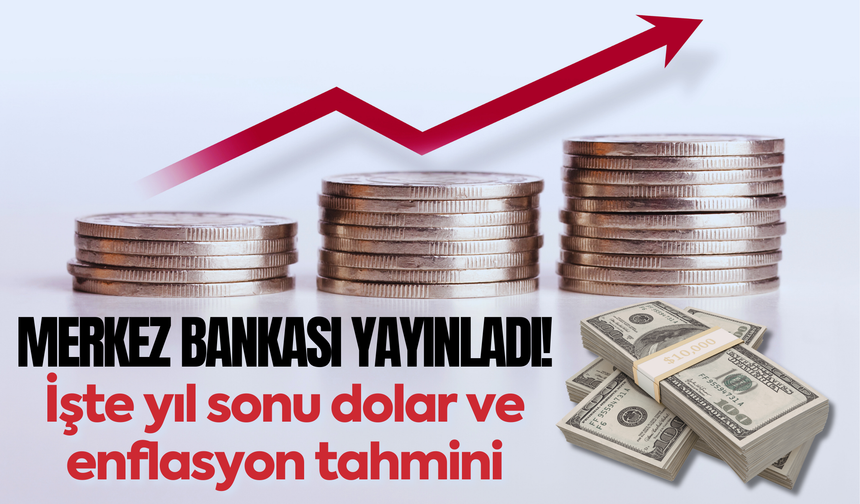 Merkez Bankası anketi yayınladı! İşte yıl sonu dolar ve enflasyon tahmini