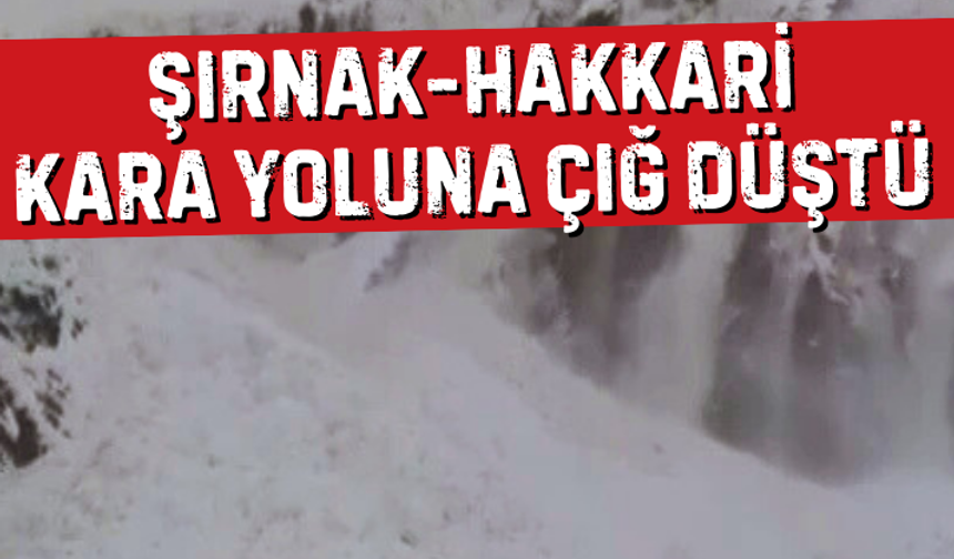 Şırnak-Hakkari kara yoluna çığ düştü