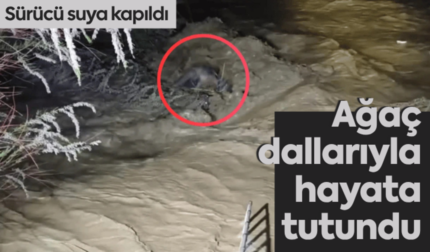 Suya kapılan sürücü ağaç dallarıyla hayata tutundu