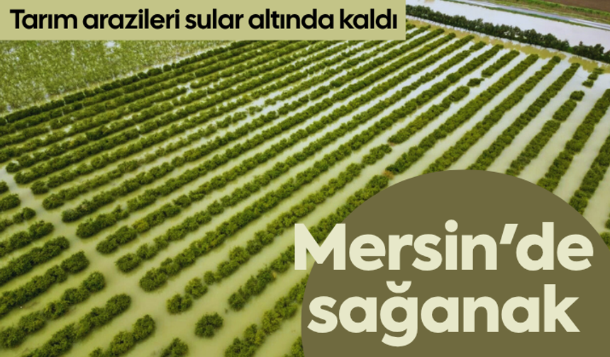Mersin'de sağanak: Tarım arazileri su altında kaldı