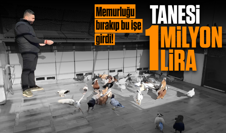 Memurluğu bırakıp bu işe girdi! Tanesini 1 milyon liraya satıyor