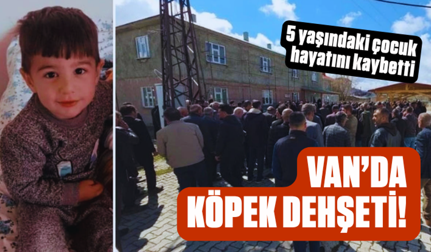 Van’da köpek dehşeti! 5 yaşındaki çocuk hayatını kaybetti: Kan donduran detayları amcası anlattı