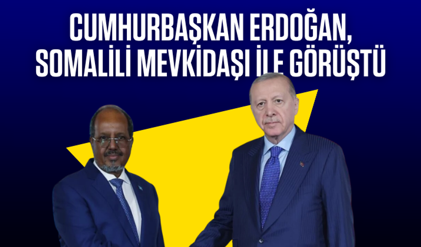Cumhurbaşkanı Erdoğan, Somalili mevkidaşı ile  görüştü