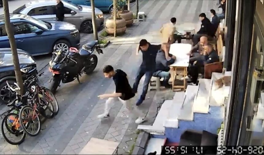 Kuaförde ilginç anlar! Kedi müşterileri böyle kovaladı