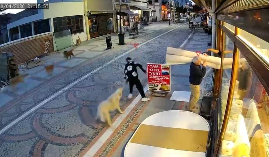 Başıboş köpek saldırısı kamerada! 19 yaşındaki genç yaralandı