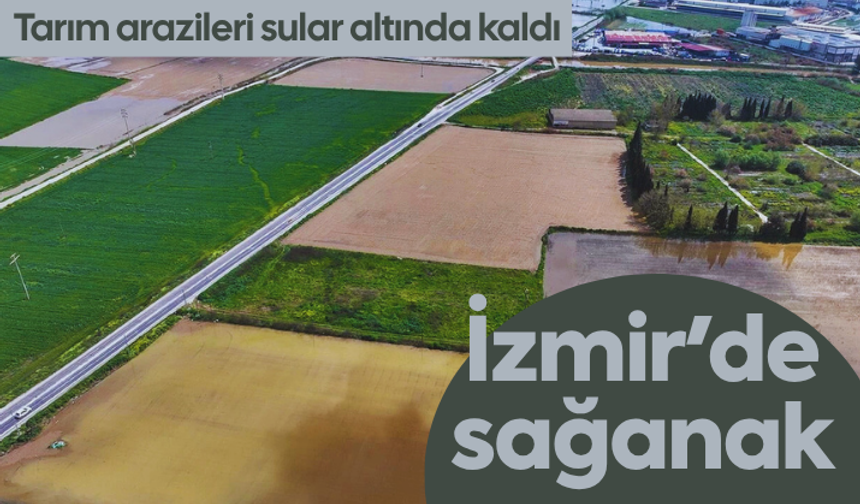 İzmir'de sağanak: Tarım arazileri sular altında