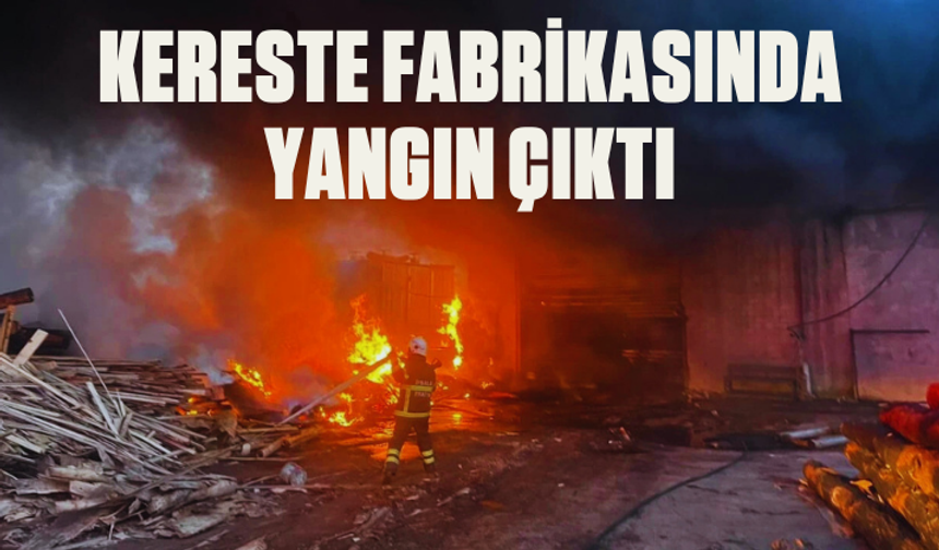 Edirne'de kereste fabrikasında yangın