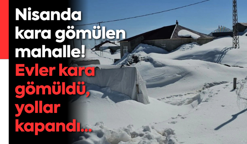 Nisanda kara gömülen mahalle! Evler kara gömüldü, yollar kapandı...