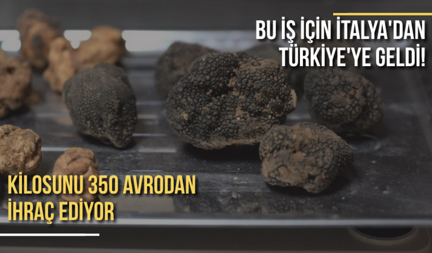 Bu iş için İtalya'dan Türkiye'ye geldi! Kilosunu 350 Euro'dan ihraç ediyor
