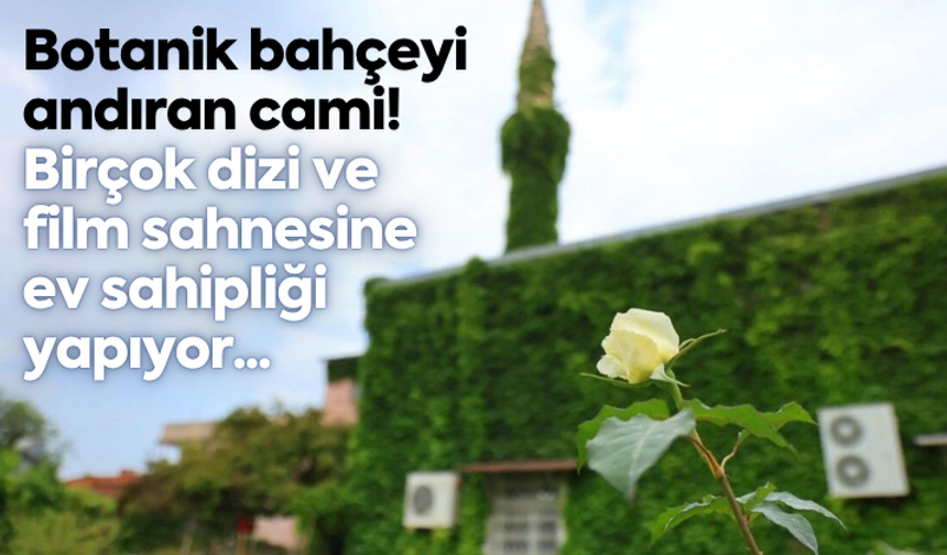 Botanik bahçeyi andıran cami! Birçok dizi ve film sahnesine ev sahipliği yapıyor...