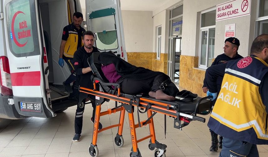 Sivas'ta 'İneğin bostanıma girdi'  tartışması cinayetle bitti