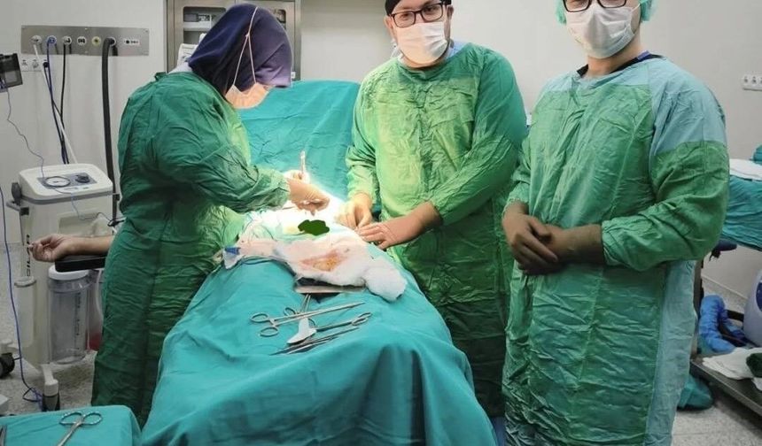 İdrar şikayetiyle geldiler, mesanelerinden 27 taş çıktı