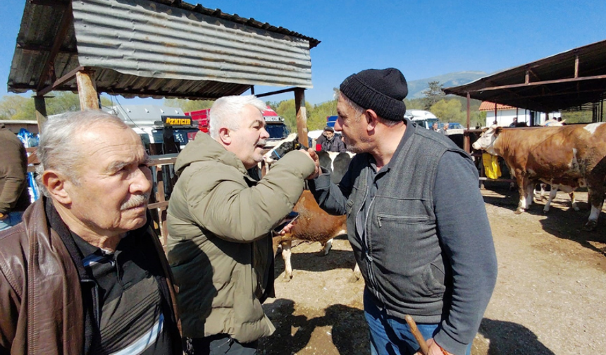 Bolu’da kurbanlık dana pazarlığında nefes kesen anlar