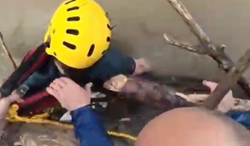 Düzce'de kayboldu, Sakarya'da bulundu: Rafting kazası ölümle bitti