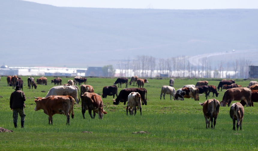 Kurbanlık alacaklar dikkat! Sosyal medyada yeni dolandırıcılık yöntemi