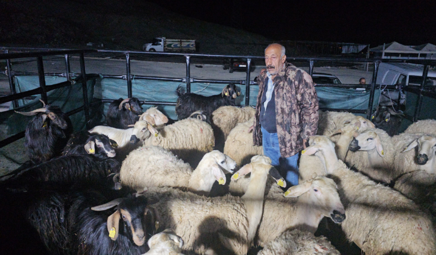 Sabaha kadar nöbetteler! Kurban pazarında gece mesaisi sürüyor