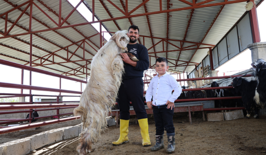 Kurban pazarının rekor adayı! 140 kiloluk dev keçi görenleri şaşırttı