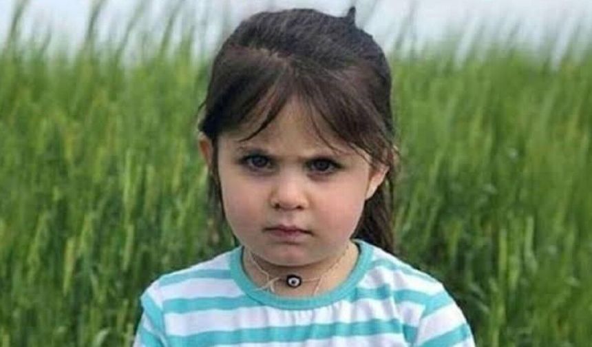Leyla Aydemir davasında annenin beyanları dikkat çekti! Gözler yarınki duruşmada