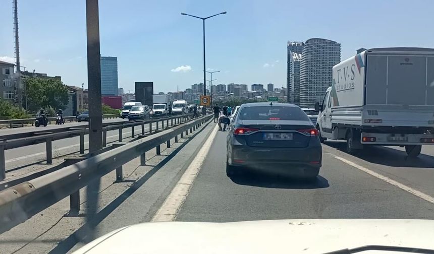 TEM’de ilginç anlar! Paralar yola saçıldı, herkes topladı