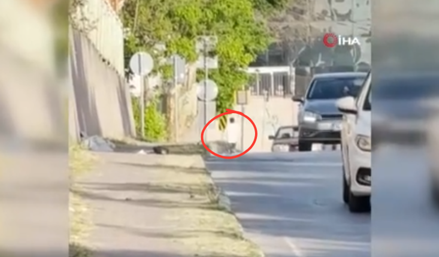 Uygulama noktasını gören servis şoförü kaçtı, polis peşine düştü: Film gibi kaçış kamerada!