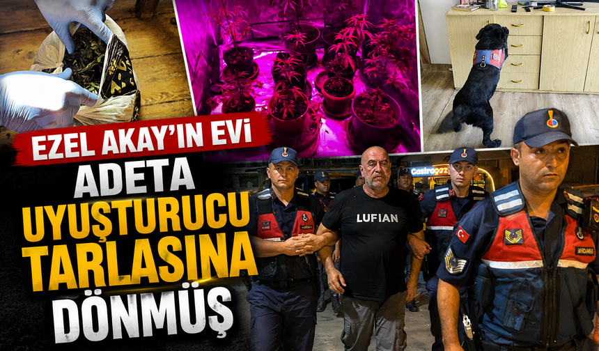 Ezel Akay'ın evi adeta uyuşturucu tarlasına dönmüş