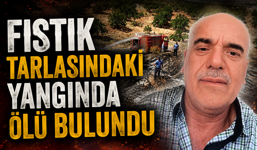 Fıstık tarlasındaki yangında ölü bulundu
