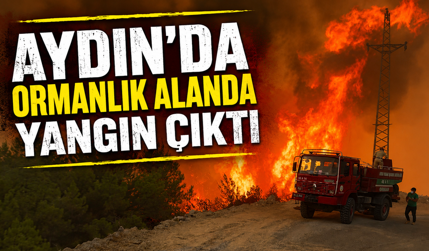 Aydın'da ormanlık alanda yangın çıktı
