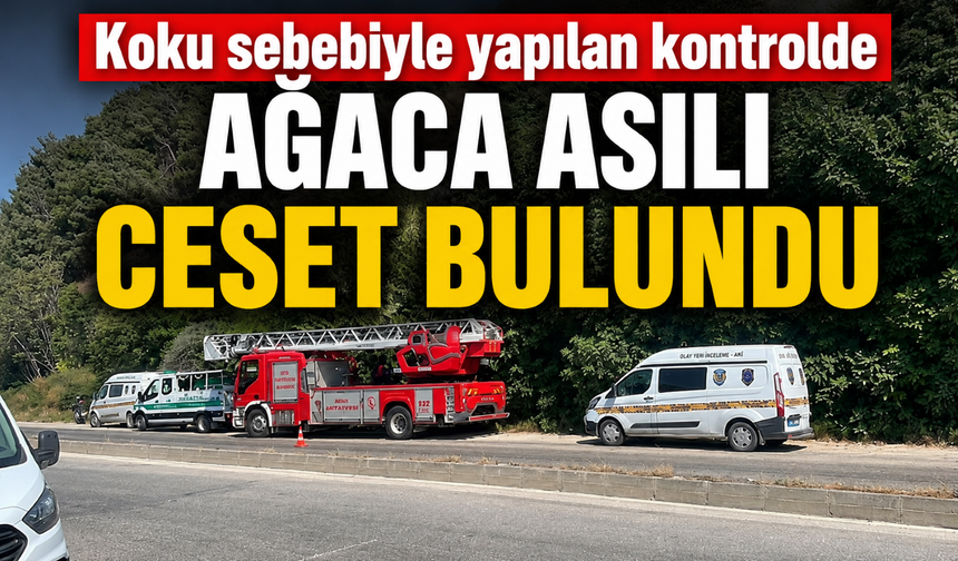 Koku sebebiyle yapılan kontrolde ağaca asılı ceset bulundu