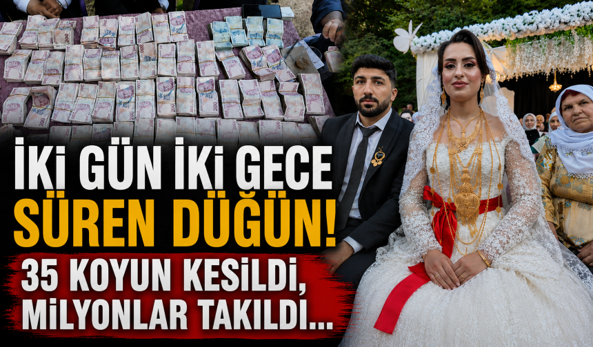 İki gün iki gece süren düğün! 35 koyun kesildi, milyonlar takıldı...