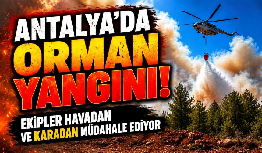 Antalya'da orman yangını! Ekipler havadan ve karadan müdahale ediyor