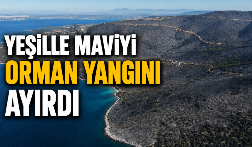 Yeşille maviyi orman yangını ayırdı
