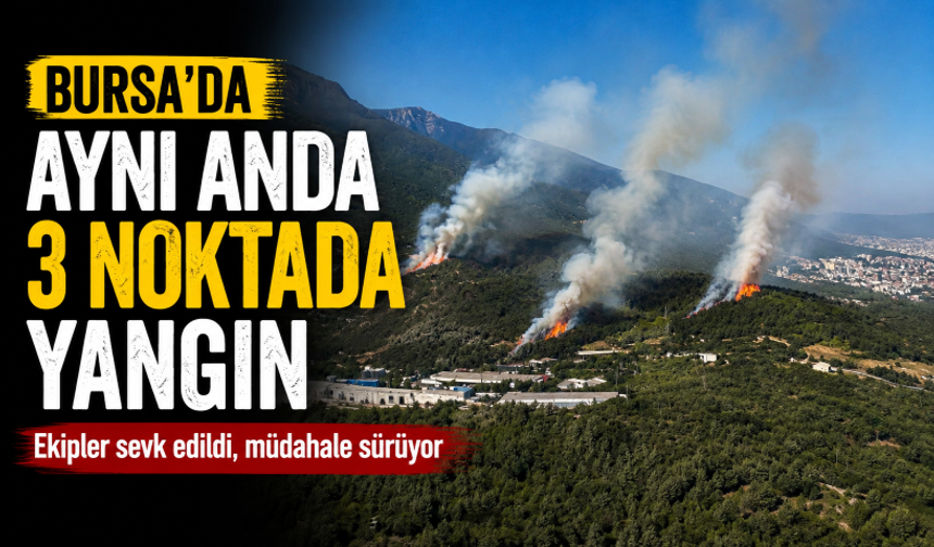 Bursa'da aynı anda 3 noktada yangın