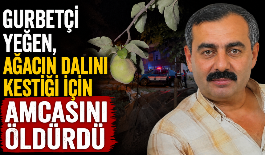Gurbetçi yeğen, ağacın dalını kestiği için amcasını öldürdü