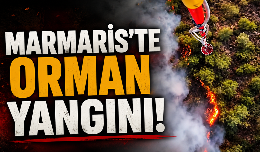 Marmaris'te orman yangını!