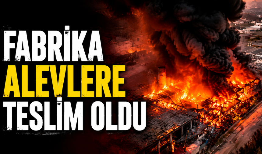 Elazığ'da fabrika alevlere teslim oldu