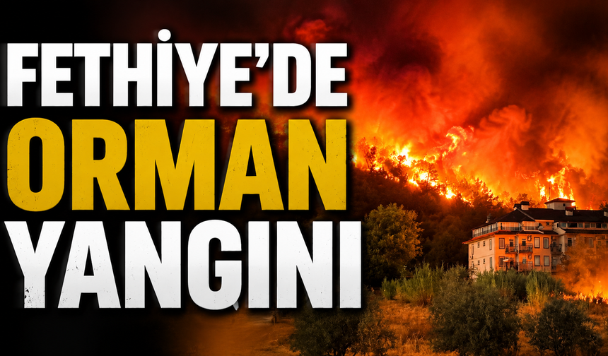 Fethiye'de orman yangını kontrol altında