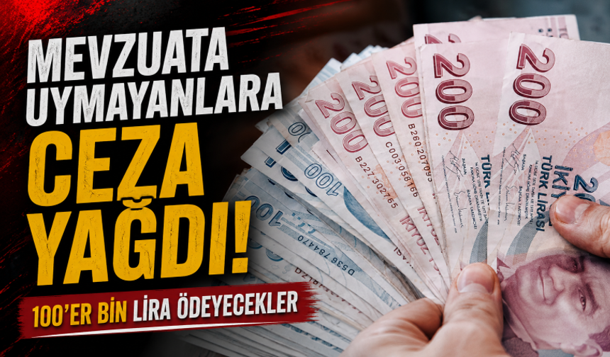 Emlakçılar ve galericilere ceza yağmuru! 100'er bin lira ödeyecekler