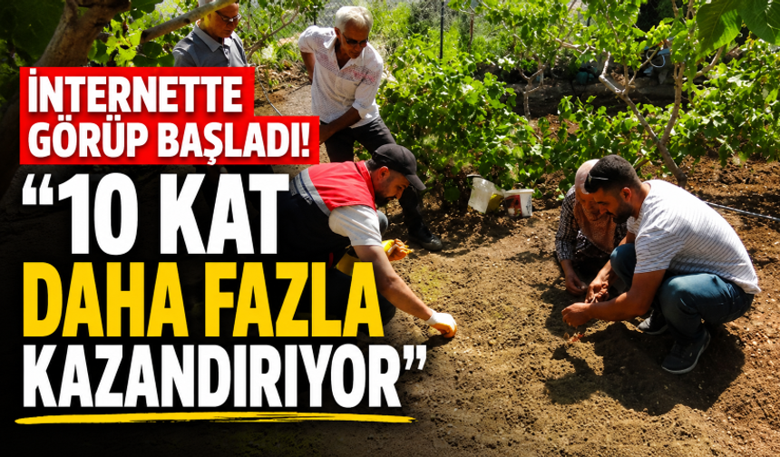 İnternette görüp başladı! "10 kat daha fazla kazandırıyor"