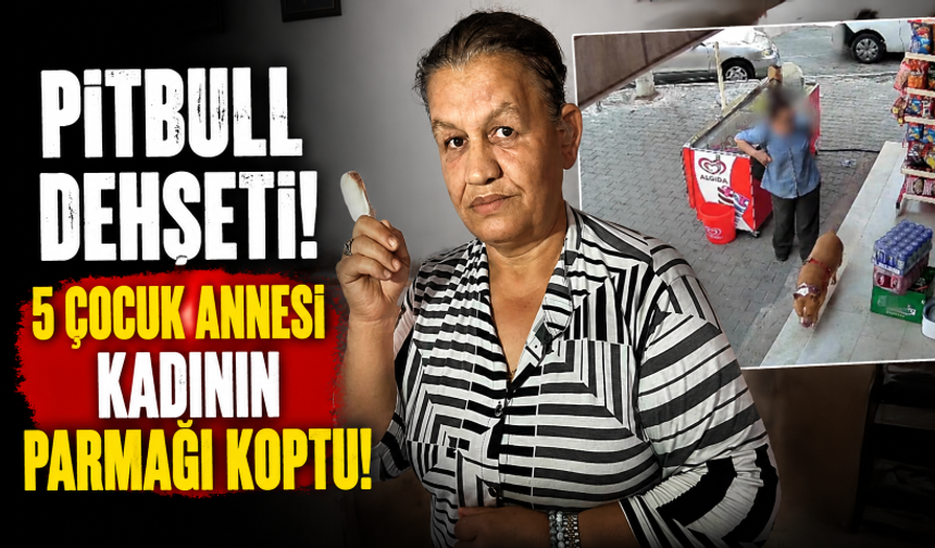 İzmir'de pitbull dehşeti! 5 çocuk annesi kadının parmağı koptu