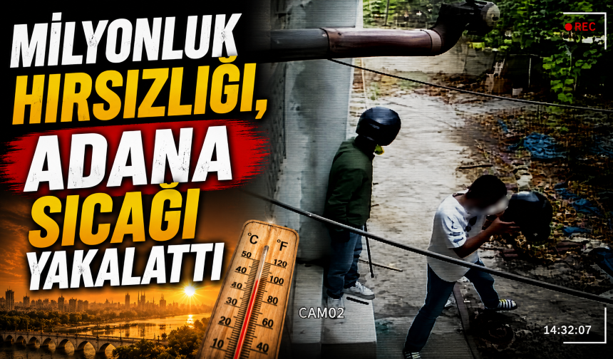 Milyonluk hırsızlığı, Adana sıcağı yakalattı