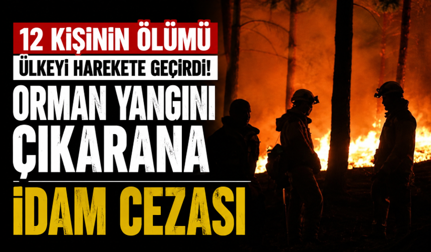 12 kişinin ölümü ülkeyi harekete geçirdi! Orman yangını çıkarana idam cezası