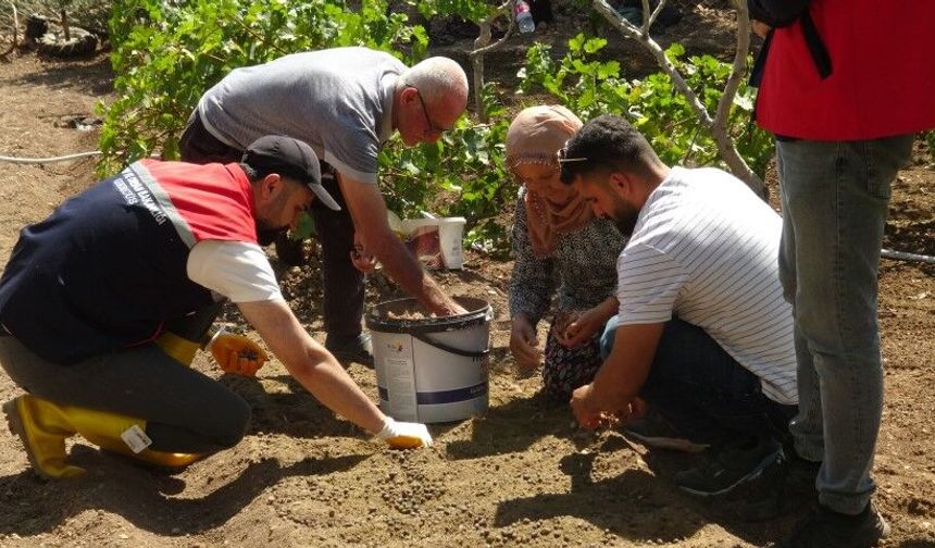 İnternette görüp başladı! "10 kat daha fazla kazandırıyor"