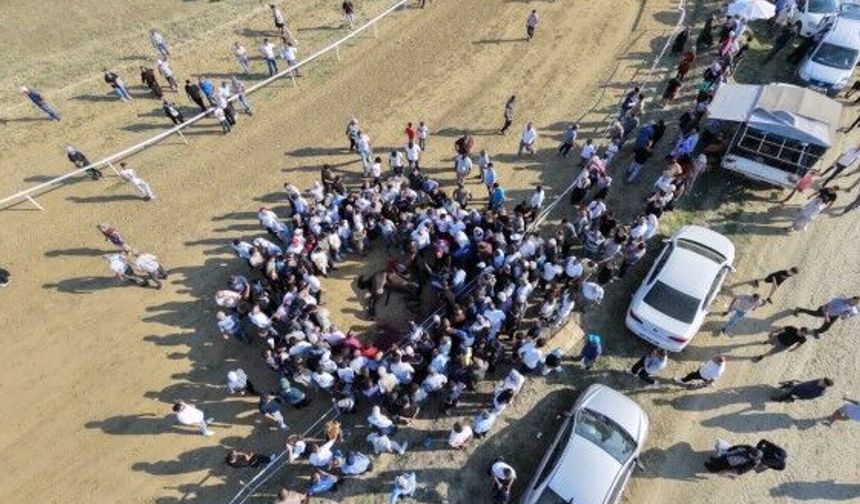 Yarışta çarpışan iki at telef oldu, jokey son anda atlayarak kurtuldu