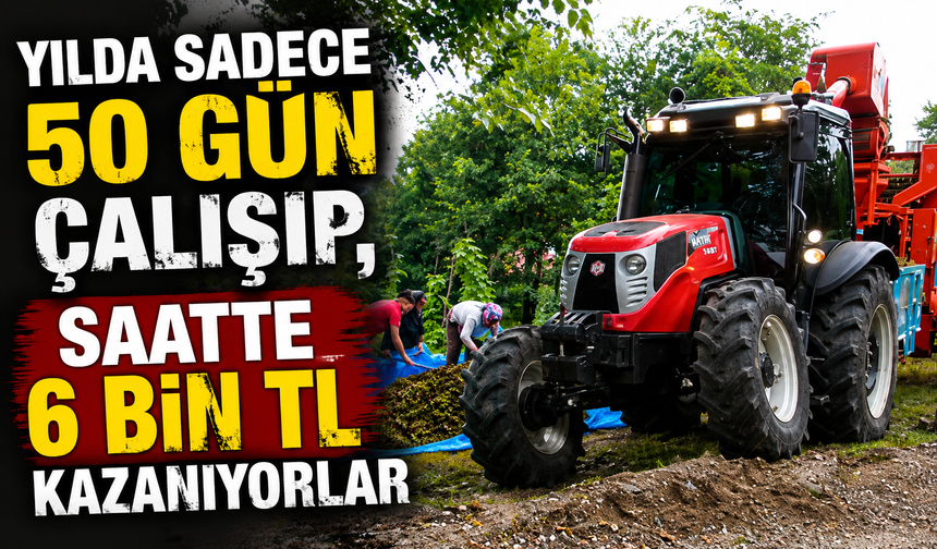 Yılda sadece 50 gün çalışıp, saatte 6 bin TL kazanıyorlar