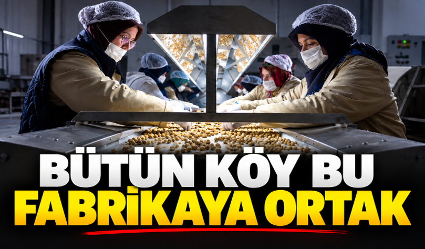 Bütün köy bu fabrikaya ortak